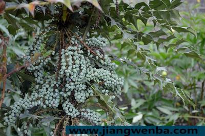 甲状腺结节需要治疗吗 甲状腺结节的病因